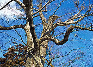 《心灵杀手2》存在严重的声音丢失和字幕问题