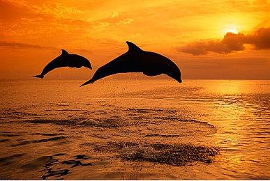 科隆：《网络奇兵：重制版》新预告展示AI SHODAN